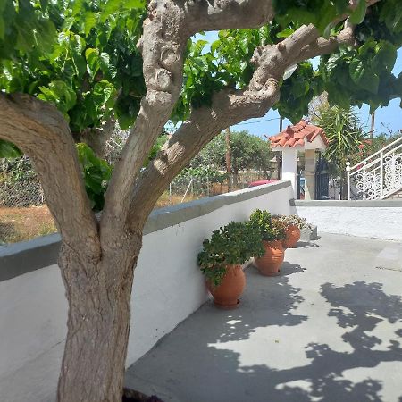Hotel Mulberry House Elafonissos Exterior foto